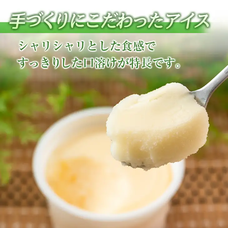 手作り アイス カップ セット 計16個 スイーツ デザート おやつ 国産 食品 加工品 お菓子 氷菓 なかつや 昔ながら 懐かしの味 ご褒美 お祝い 記念日 ギフト 贈り物 プレゼント お取り寄せ グルメ おすすめ おすそ分け 詰め合わせ 宮崎県 日南市 送料無料_CA35-23