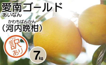 訳あり 愛南ゴールド 7kg 7000円 （発送期間：5月10日?無くなり次第終了） みかん かわちばんかん 河内晩柑 あいなん ゴールド 美生柑 文旦 グレープフルーツ 和製 家庭用 先行 事前 予約 受付 産地直送 国産 農家直送 糖度 果樹園 期間限定 数量限定 特産品 ゼリー ジュース 人気 限定 さわやか 甘い フルーツ 果物 柑橘 蜜柑 規格外 愛媛県 愛南町 吉田さんちの愛南ゴールド