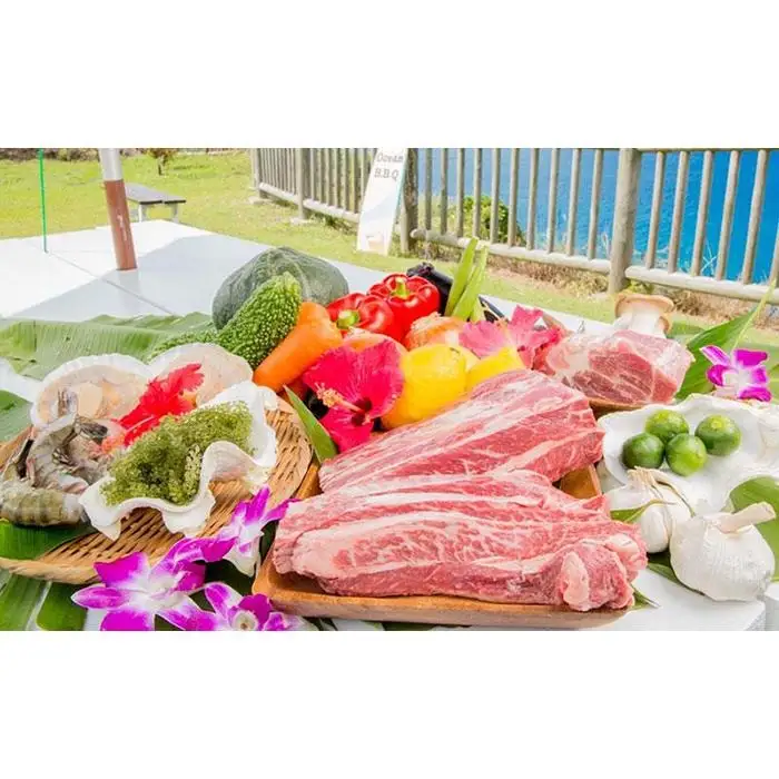 西海岸の絶景！で楽しむ本格炭火BBQプラン　3名様