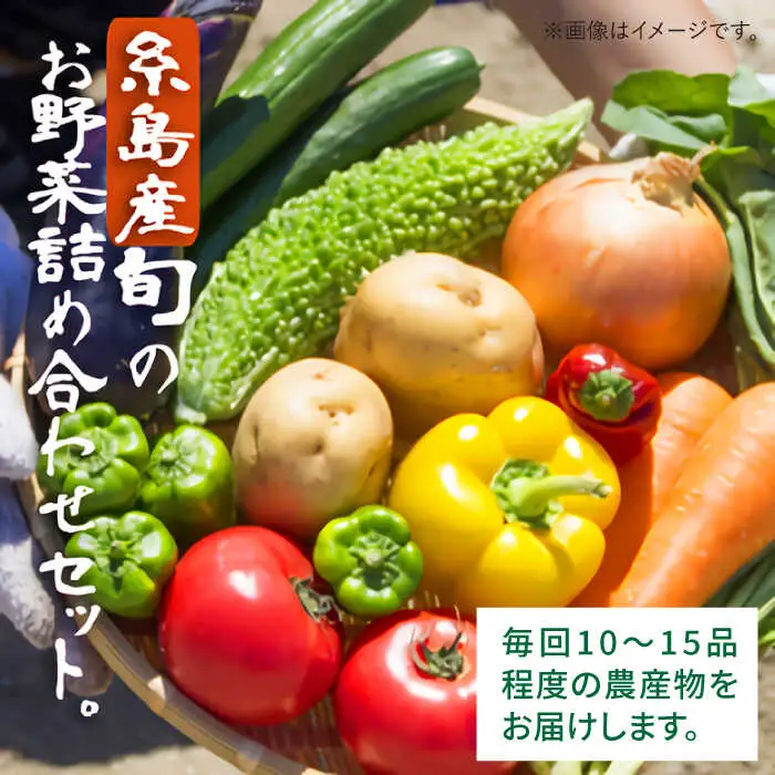 【 全3回 定期便 】 福岡県 糸島産 旬 の 野菜 盛り合わせ セット 《糸島》【株式会社フロンティア・アドバンス】[AWC007]