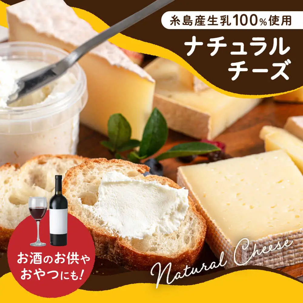 【お中元対象】糸島産 生乳 100％ 使用 手作り チーズ 4種 TAKセレクト【ベーシック】 糸島市 / 糸島ナチュラルチーズ製造所TAK-タック- [AYC007]