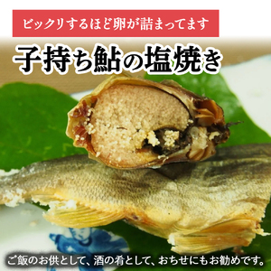 【希少】子持ち鮎の塩焼きと焼鮎醤油のセット／Ess-12 あゆ 鮎 川魚
