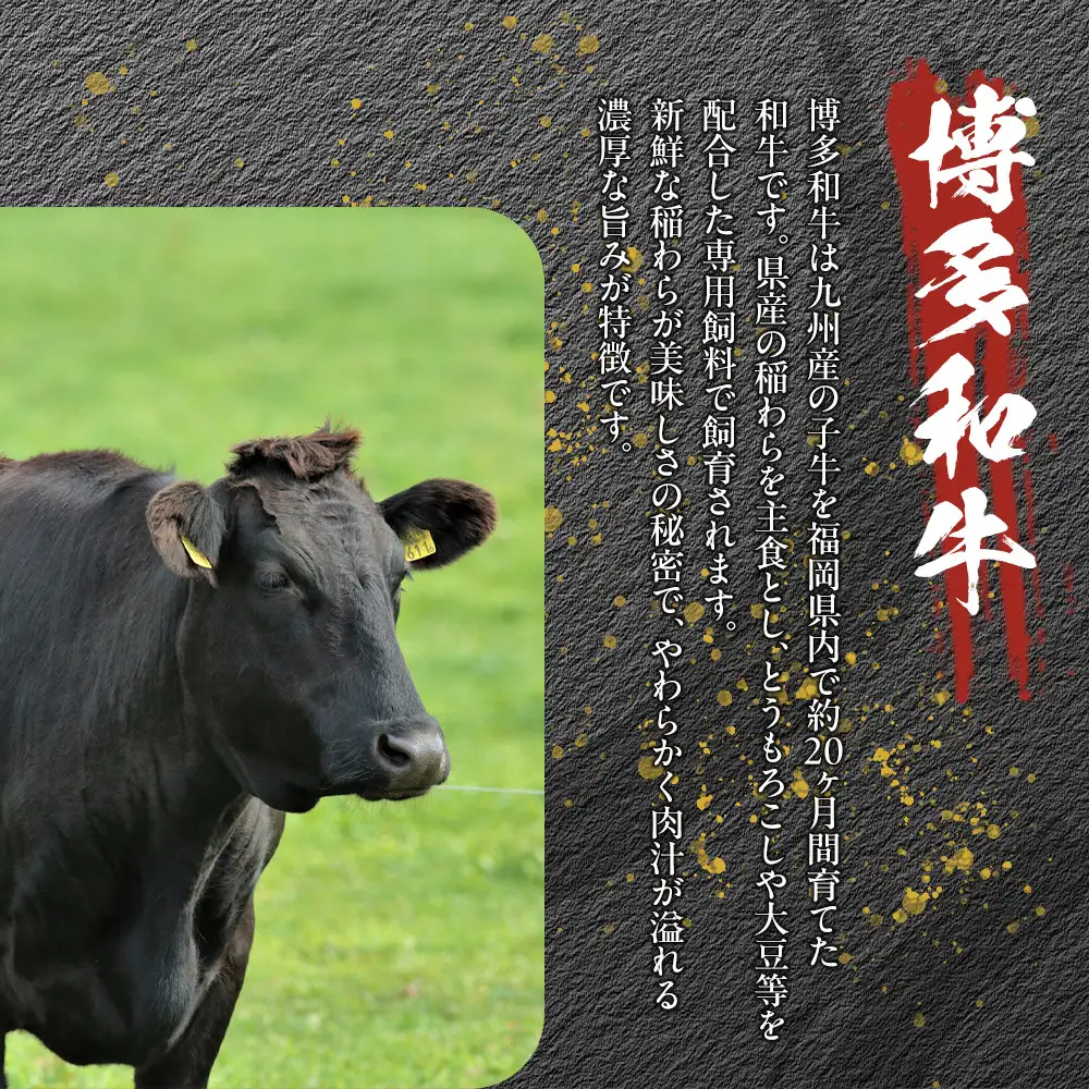 博多和牛 切り落とし 1kg（500g×2パック） | ふるさと納税 肉 牛肉 切り落とし 肩 バラ 牛 お肉 九州産 黒毛和牛 博多和牛 ふるさと納税 牛肉 赤身 すき焼き 焼き肉 焼肉 人気 A5ランク 贈り物 プレゼント ギフト 冷凍 小分け 福岡県 福岡市 送料無料