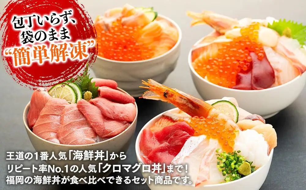 福岡市グルメ糸島海鮮堂の海鮮丼食べ比べ 4食セット | 福岡県 福岡市 海鮮丼セット 海鮮丼 マグロ丼 サーモン いくら丼 ネギトロ丼 お取り寄せグルメ 食べ比べセット ねぎとろ まぐろ 福岡 お土産 グルメ 海鮮丼の具 九州 海の幸 海鮮 セット 詰め合わせ