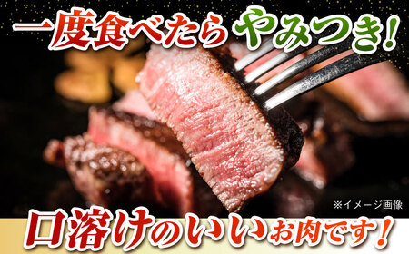 五島牛 シャトーブリアン450g（150g×3枚） 五島市/肉のマルヒサ[PCV039]シャトーブリアンA4 A5 牛肉 ヒレ フィレ ヘレ