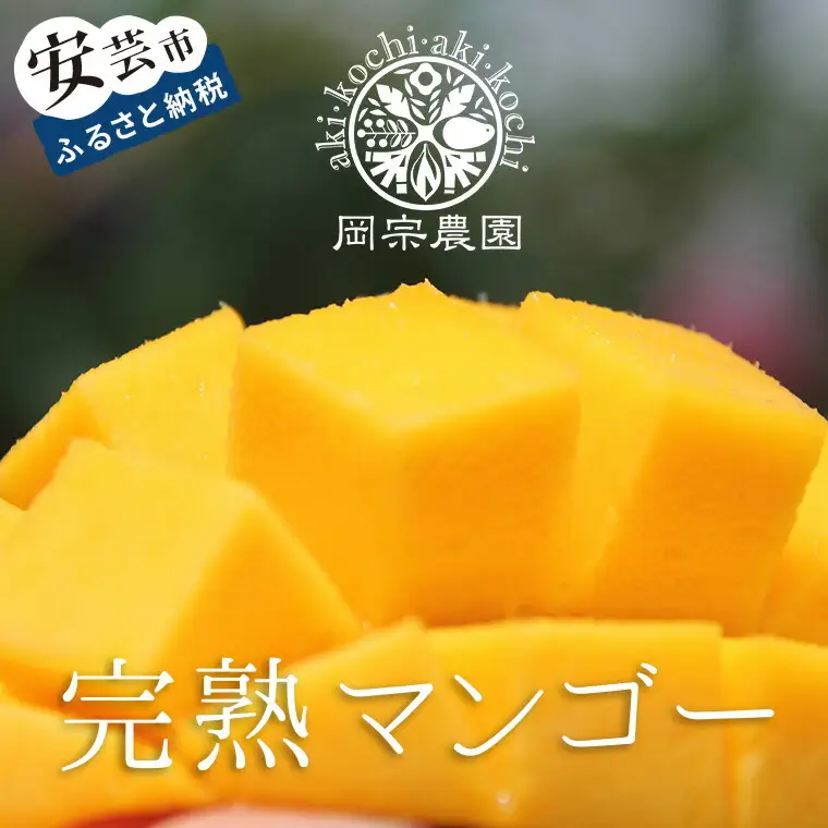 完熟マンゴー＆生ライチセット【マンゴー】