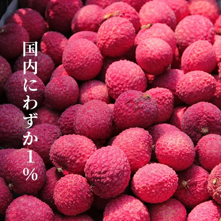 国産ライチ 12～18個【ライチ】