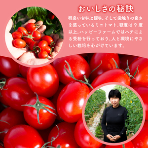 ハッピートマト1kg 先行予約【ミニトマト】