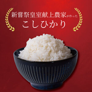【令和7年産】 米 10kg こしひかり 米 AS013