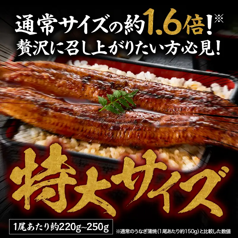 【 土用の丑の日特集 】 1748 【特大】備長炭手焼 うなぎ の 蒲焼 3尾 計660g KN029-009 魚 鰻 惣菜 総菜 うなぎ