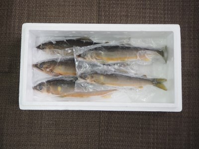 【先行予約！8月順次発送】”清流”狩野川で育った冷凍「鮎」５本詰合せセット