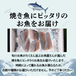S121-001A_焼き魚コース