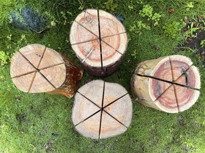 大磯町内のヒノキでできた薪屋大磯のスウェディッシュトーチ（里山整備や間伐で出た材を使っています。）【アウトドア キャンプ 薪 焚火 神奈川県 大磯町 焚き火 数時間燃焼 キャンプ用品 プレゼント】