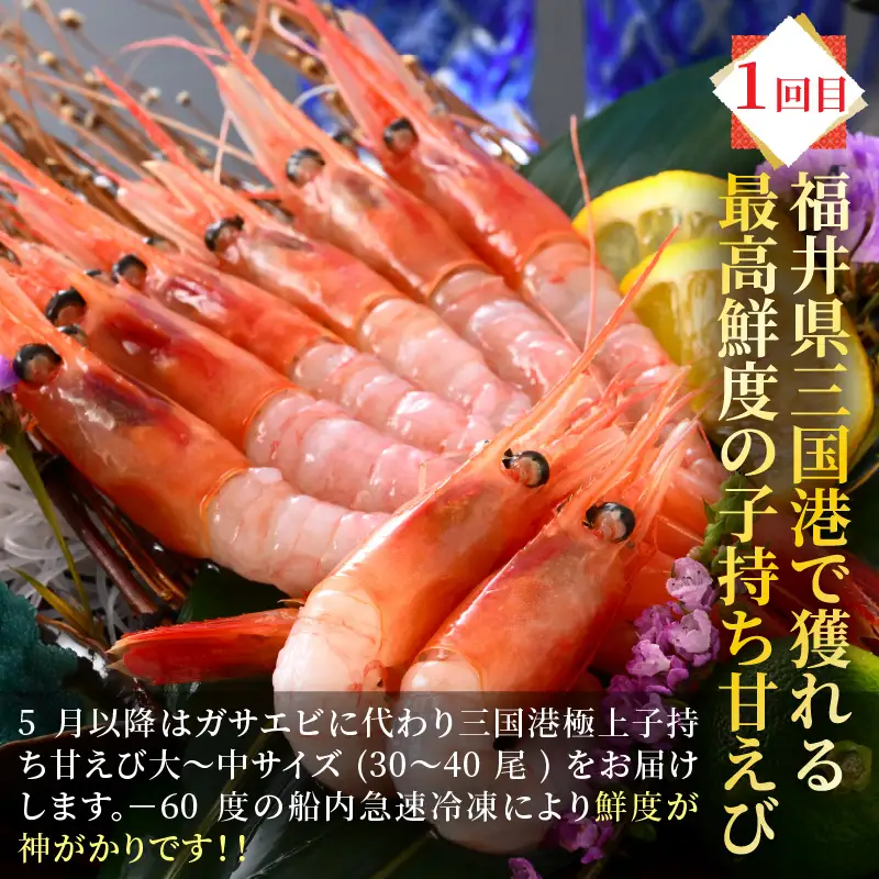 【6ヶ月連続お届け】朝市たろうのイチオシ海鮮定期便 [G-12301]