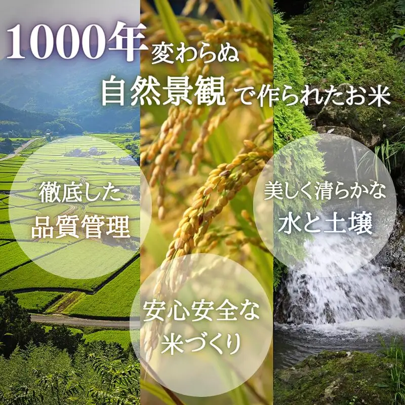 ヒノヒカリ 荘園米 5kg （精米済）ひのひかり