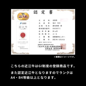 近江牛 モモ　300ｇ 黒毛和牛 切り落し 和牛 国産 ブランド牛 三大和牛 牛肉 冷凍 贈り物 ギフト プレゼント A-H02 株式会社ＴＫＳ 東近江