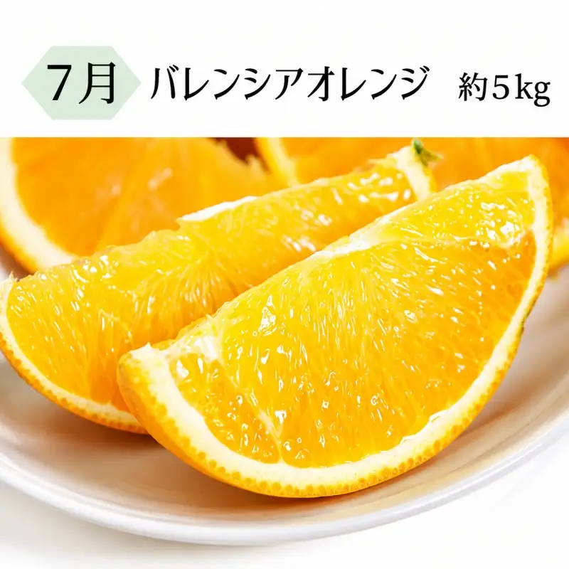 【全3回定期】暑い季節にお届け！果物定期便　バレンシアオレンジ・桃・柿　旬のフルーツをお届け♪【tkb142】