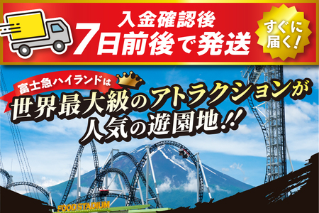 富士急ハイランドワンデイパス ファミリーチケット3名（大人2名・小人1