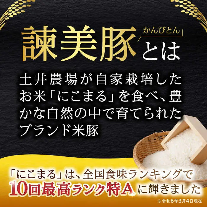 豚肉【2回定期便】諫美豚切り落とし 2.1kg AHAD012 定期便