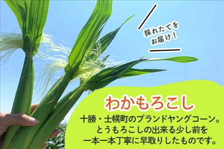 《期間限定》北海道 士幌産 わかもろこし 25本 セット (2026年7月中旬～発送開始予定)  皮付き ヤングコーン 十勝産 ベビーコーン トウモロコシ とうもろこし 産地直送 産直 お取り寄せ 送料無料 十勝 士幌町【L28】