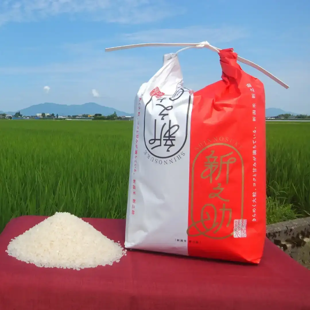 先行予約 新之助 5kg 新潟県産 [2027年1月中旬から順次発送予定]