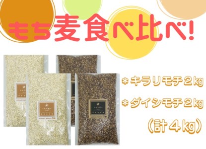 CIB94_佐賀県産『もち麦』食べ比べ！キラリモチ２㎏、ダイシモチ２㎏