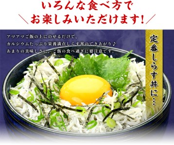 甲羅組 天然 釜揚げしらす 約500g 2袋 合計 約1kg (a10-807)