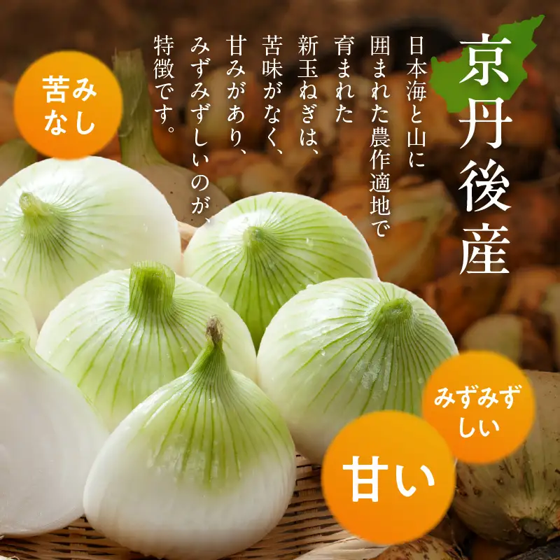 【玉ねぎ】訳あり 新たまねぎ 7kg | 玉ねぎ