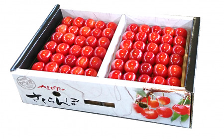 【令和9年産先行予約】 厳選品！手詰め さくらんぼ 「佐藤錦または紅秀峰」 約1kg (特秀 L以上) 《令和9年6月20日～発送》 『マルエ青果』 先行予約 サクランボ 果物 フルーツ 山形県 南陽市 [1114]
