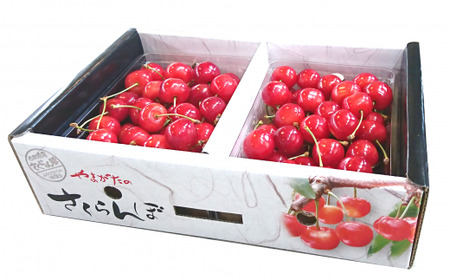 【令和9年産先行予約】 さくらんぼ「佐藤錦または紅秀峰」 約1kg (特秀 L以上) 《令和9年6月中旬～発送》 『マルエ青果』 先行予約 サクランボ 果物 フルーツ 山形県 南陽市 [1115]
