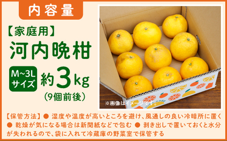 【先行予約】吉本農園の愛南ゴールド（河内晩柑）家庭用約3kg　＜柑橘 希少 果物 国産 フルーツ みかん 蜜柑  家庭用 和製 グレープフルーツ ブランド 果実 ビタミン 愛媛県 鬼北町＞ ※2026年4月上旬～8月上旬頃に順次発送予定