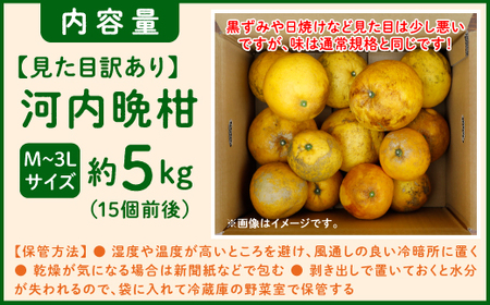 【先行予約】見た目だけが訳あり！吉本農園の木取り完熟愛南ゴールド（河内晩柑）約5kg＜柑橘 希少 果物 国産 フルーツ みかん 蜜柑 訳あり 家庭用 和製 グレープフルーツ ブランド 果実 ビタミン 愛媛県 鬼北町 ＞ ※2026年4月上旬～8月上旬頃に順次発送予定