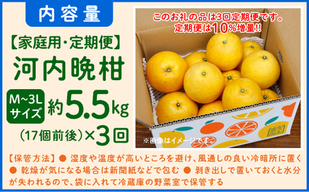 【先行予約】河内晩柑３回お届け定期便／家庭用愛南ゴールド 5.5kg×3回＜柑橘 希少 果物 国産 フルーツ みかん 蜜柑 定期便 家庭用 和製 グレープフルーツ ブランド 果実 ビタミン 愛媛県 鬼北町 ＞ ※2027年4月～発送