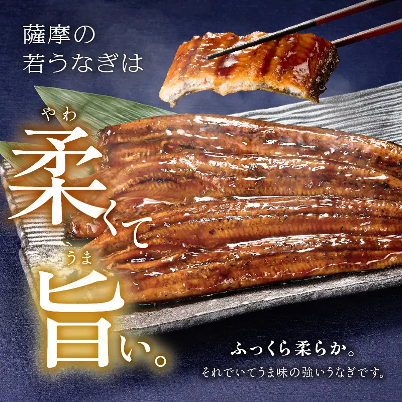  1651-1 鹿児島県産 うなぎ蒲焼き 5尾セット KN058-002-05 魚 鰻