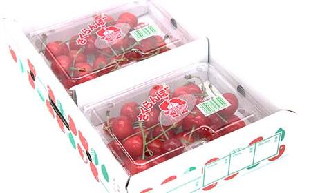 【令和9年産先行予約】 さくらんぼ 「佐藤錦または紅秀峰」 360g (180g×2パック 秀 L以上) 《令和9年6月10日頃～発送》 『南陽中央青果市場』 小分け フードパック サクランボ 果物 フルーツ 山形県 南陽市 [1475]