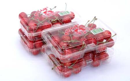 【令和9年産先行予約】 さくらんぼ 「佐藤錦または紅秀峰」 720g (180g×4パック 秀 L以上) 《令和9年6月10日頃～発送》 『南陽中央青果市場』 小分け フードパック サクランボ 果物 フルーツ 山形県 南陽市 [1476]