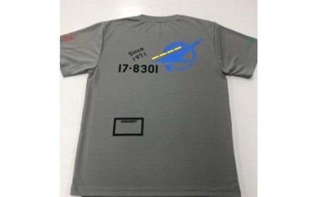 743 F-4EJ 301号機 Tシャツ（飛行開発実験団 明灰）