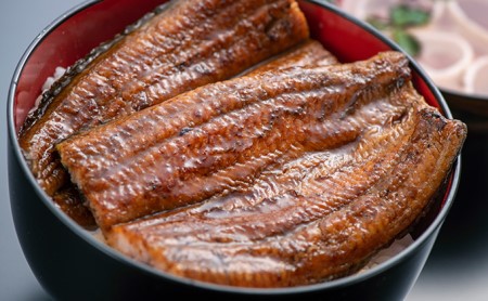 うなぎ 1本 約200g おすすめ 人気 厳選 ギフト うなぎ