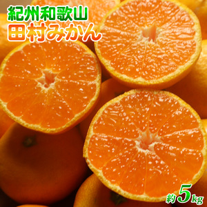 【2026年先行予約】高級ブランド 田村みかん 約5kg_G7340