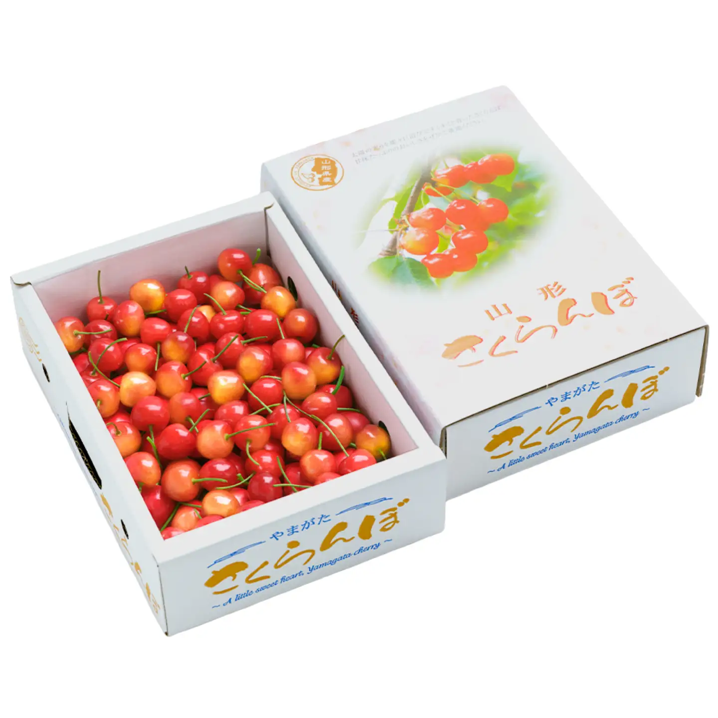 さくらんぼ 佐藤錦 秀M 1.2kg 【ns-snsmb1200】