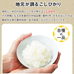米 5kg×2袋 計10kg 京都丹波米 こしひかり 白米 ※精米したてをお届け 《契約栽培米 緊急支援 米・食味鑑定士厳選 コシヒカリ 京都丹波産 特Ａ 大人気お米 人気お米 お米 国産お米 京都府産白米 丹波産白米 白米お米 白米 国産白米 白米 精白米》 ※北海道・沖縄・離島への配送不可