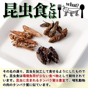 isa385 むしカフェ・昆虫食べ比べ3種！(各種3g)昆虫食 コオロギ バッタ おやつ スナック菓子 栄養 甲殻類【いさ工房】