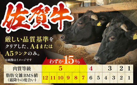 佐賀牛 ハンバーグ（140g×5個） HAA015 ハンバーグ 和牛 国産