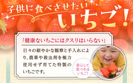 【先行予約】【11月下旬?12月発送】王様のいちごさがほのか400g×2箱むらおか農園 HAF002 いちご フルーツ 果物