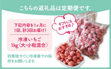 【全3回定期便】王様のいちご 1kg冷凍いちご むらおか農園 HAF011 冷凍いちご冷凍いちご冷凍いちご