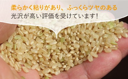 令和4年産 玄米 夢しずく 15kg【武富農園】 [HAH003]特A米 特A評価 コメ 米