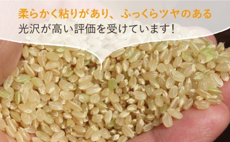 令和4年産 玄米 夢しずく 30kg【武富農園】 [HAH004]特A米 特A評価 コメ 米