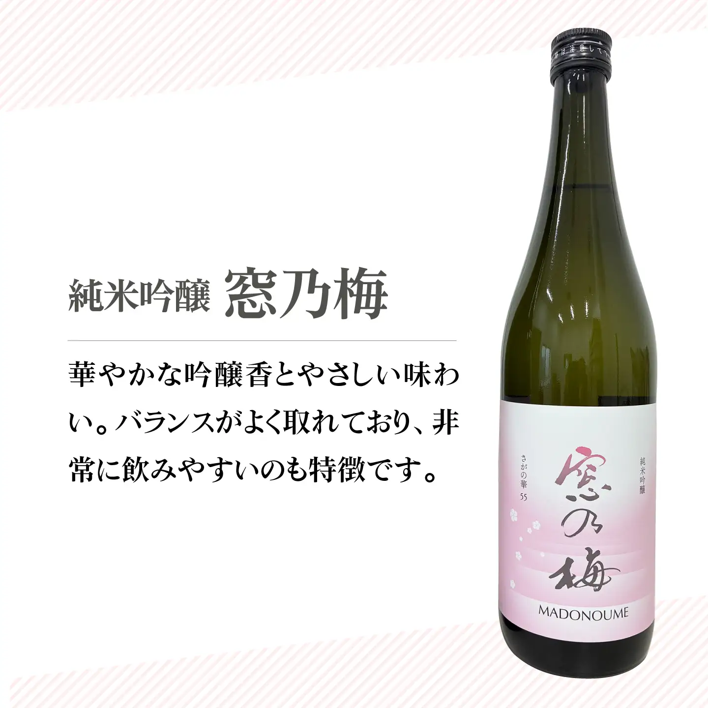 【佐賀ん酒認定酒】純米吟醸 窓乃梅 1.8L×1本【白木酒店】[HAQ016]日本酒 日本酒 日本酒 日本酒 日本酒 日本酒 
