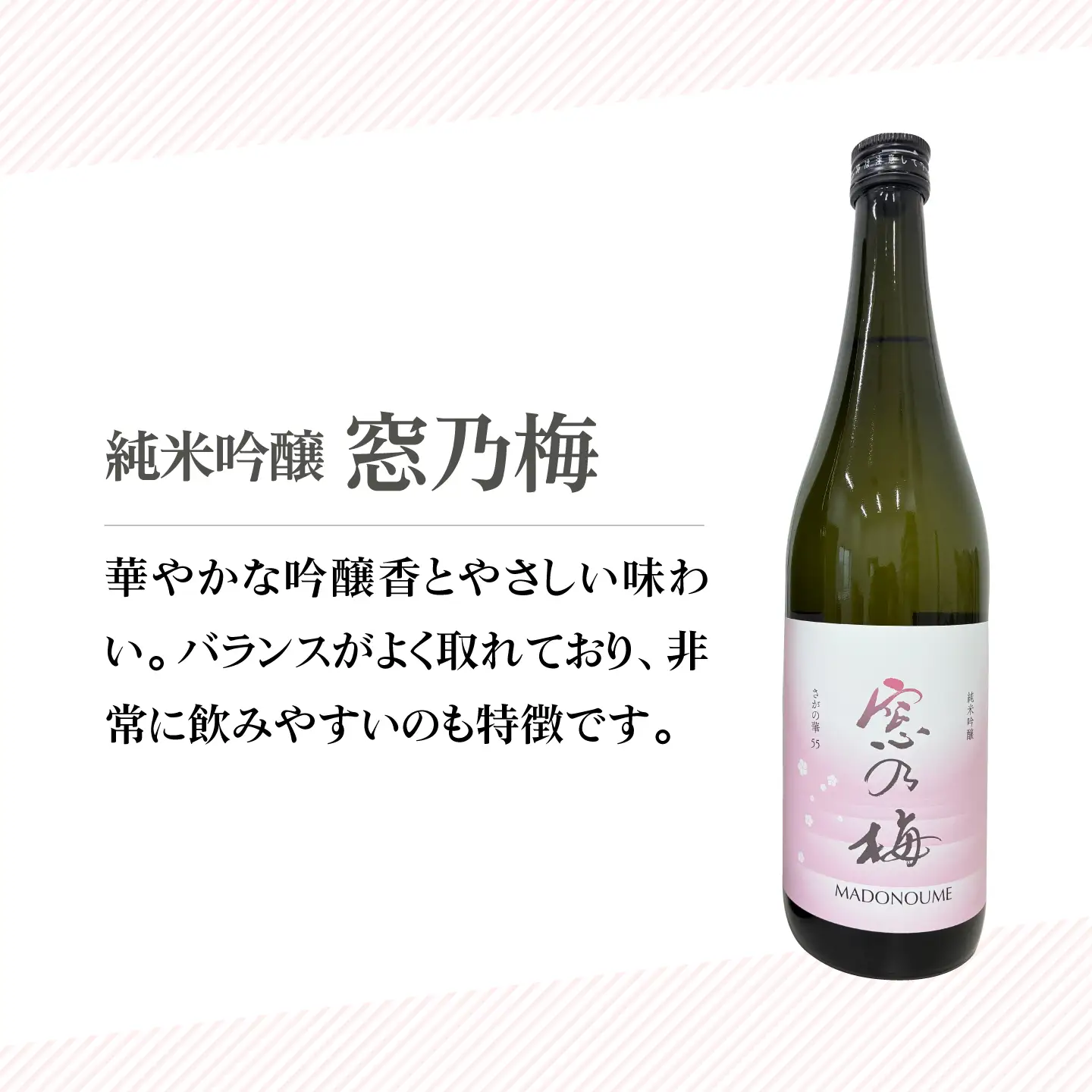 【The SAGA 認定酒】純米吟醸 窓乃梅 720ml×1本【白木酒店】[HAQ023]日本酒 日本酒 日本酒 日本酒 日本酒 日本酒 
