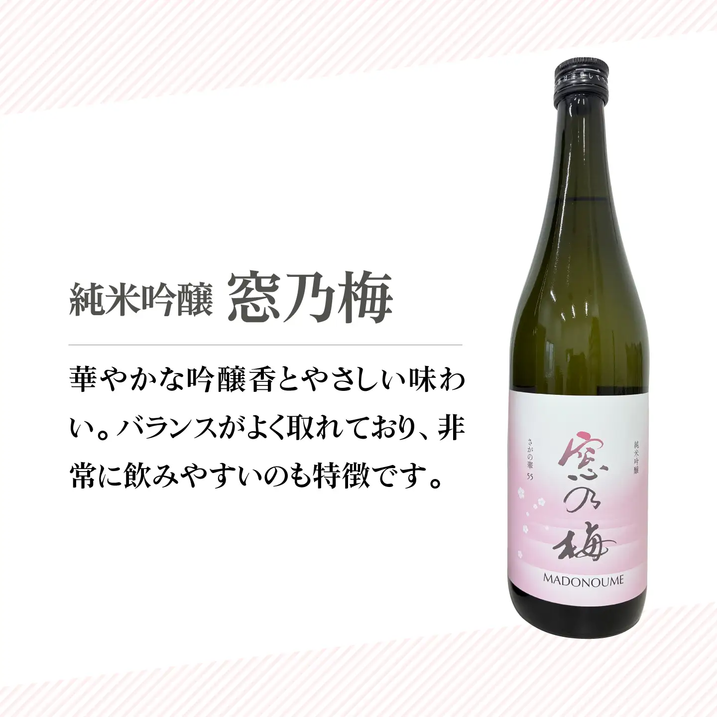 【The SAGA 認定酒】純米吟醸 窓乃梅 720ml×2本【白木酒店】[HAQ024]日本酒 日本酒 日本酒 日本酒 日本酒 日本酒 